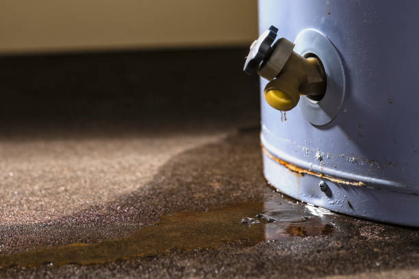 Best Water damage restoration cost  in Landing, NJ